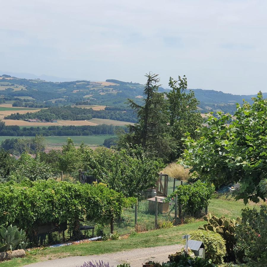Figuets 3 Apartment Chateauneuf-de-Galaure Екстериор снимка