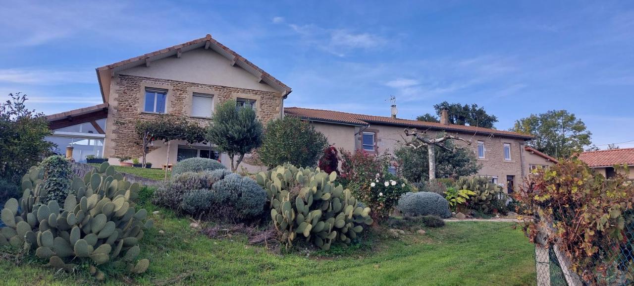 Figuets 3 Apartment Chateauneuf-de-Galaure Екстериор снимка