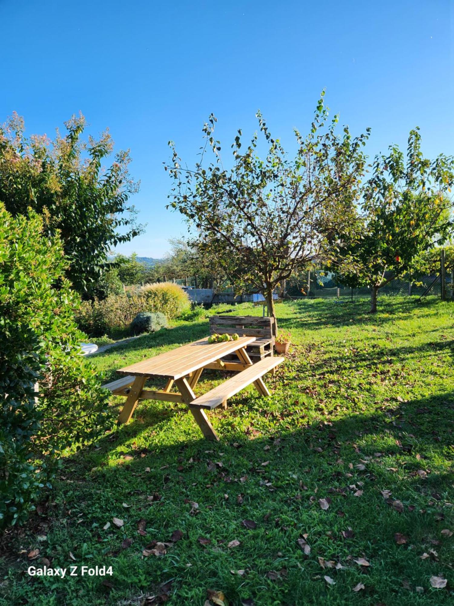 Figuets 3 Apartment Chateauneuf-de-Galaure Екстериор снимка