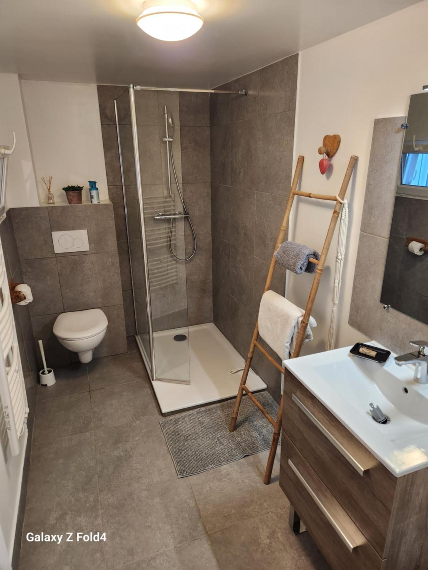 Figuets 3 Apartment Chateauneuf-de-Galaure Екстериор снимка